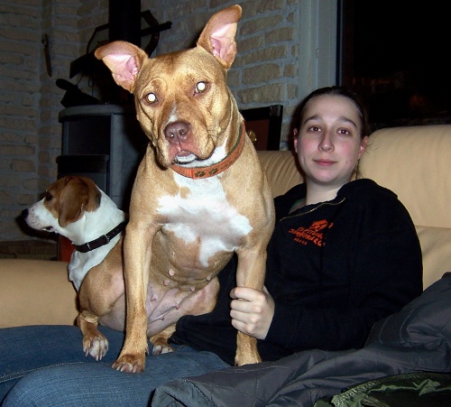 hunde5.jpg