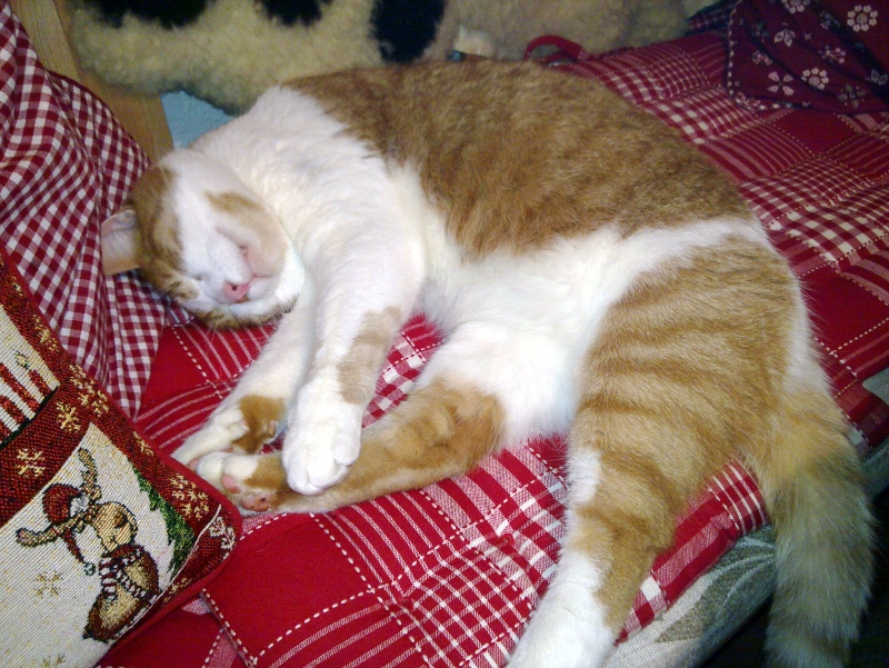 lothar_3.jpg